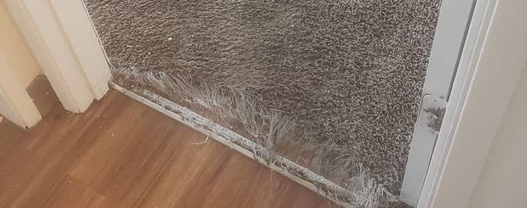 Carpet Repair Claymore